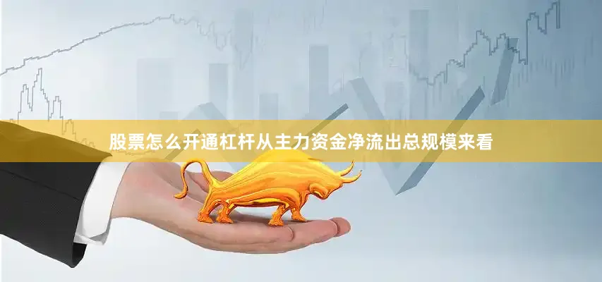 股票怎么开通杠杆从主力资金净流出总规模来看