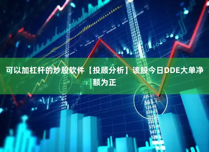 可以加杠杆的炒股软件【投顾分析】该股今日DDE大单净额为正