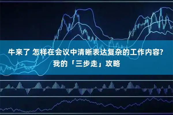 牛来了 怎样在会议中清晰表达复杂的工作内容? 我的「三步走」攻略
